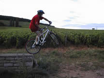 zoom