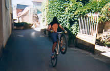 zoom